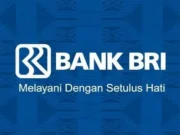 BRI Diprediksi Akan Menyumbang 80 Persen Pertumbuhan Ekonomi Global