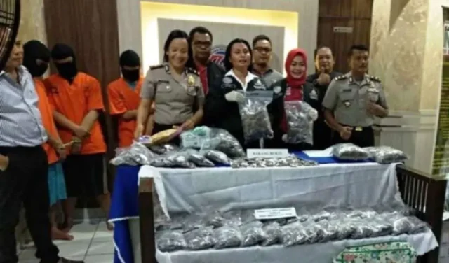 Polisi Gerebek Pabrik Tembakau Gorila di Apartemen Kalibata City