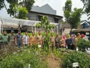 Camat Kembangan Bersama Tiga Pilar Panen Perdana Tanaman Hrdroponik