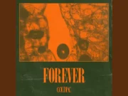 Lirik Lagu Forever - Coldiac