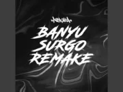 Lirik Lagu Banyu Surgo Remake - NDX AKA