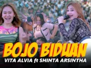 Lirik Lagu Bojo Biduan - Shinta Arsinta, Vita Alvia